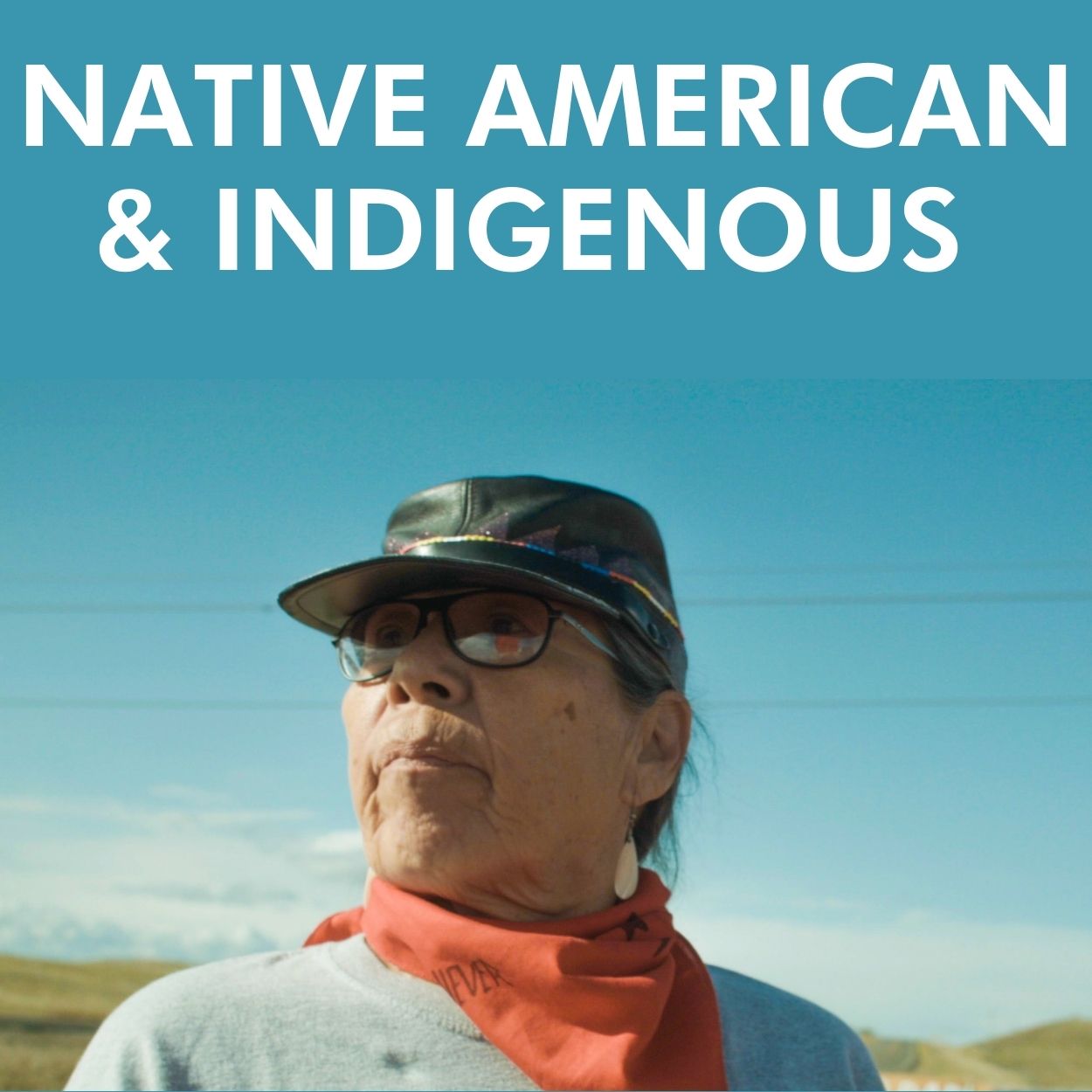 NATIVE AMERICAN & INDIGENOUS VOICES